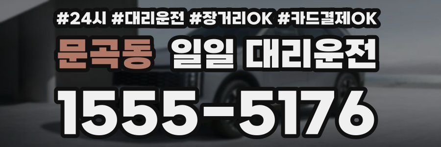 문곡동 일일 대리운전