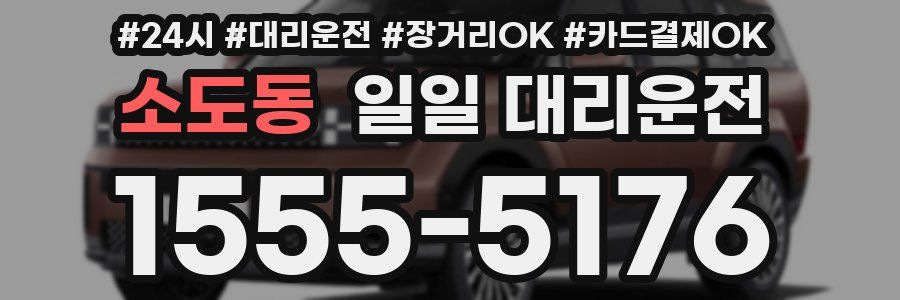 소도동 일일 대리운전