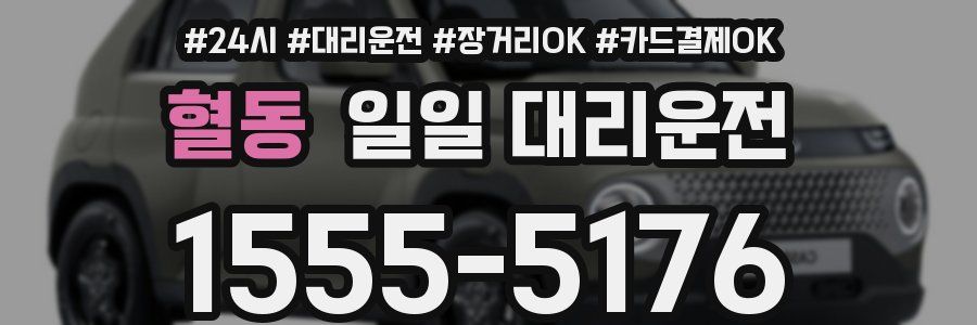 혈동 일일 대리운전
