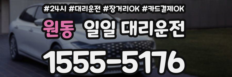 원동 일일 대리운전