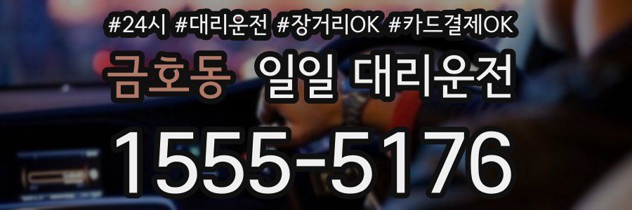 금호동 일일 대리운전
