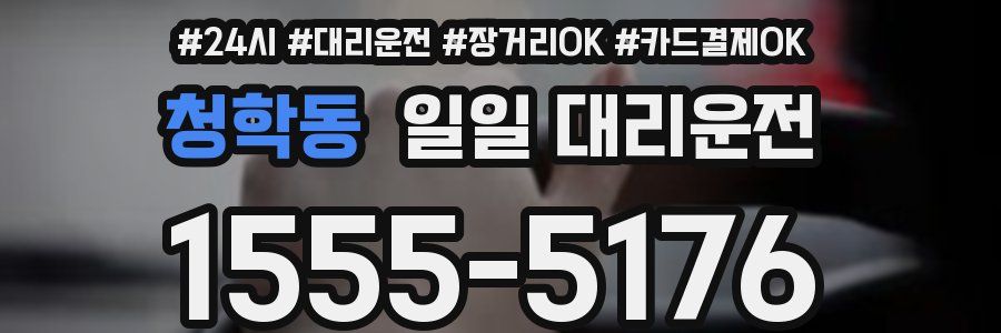 청학동 일일 대리운전