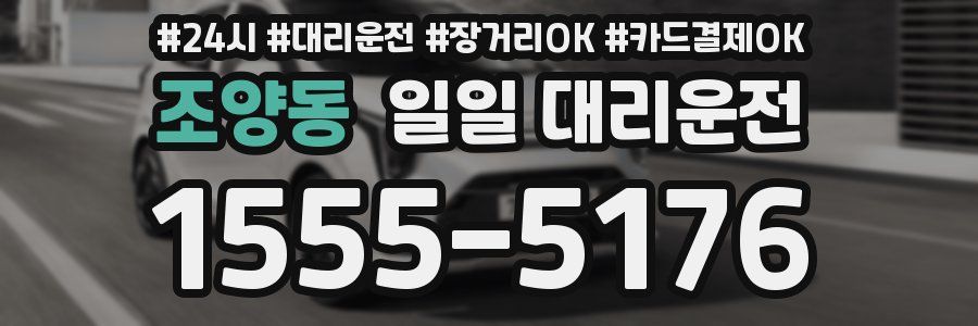 조양동 일일 대리운전