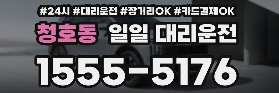 청호동 일일 대리운전