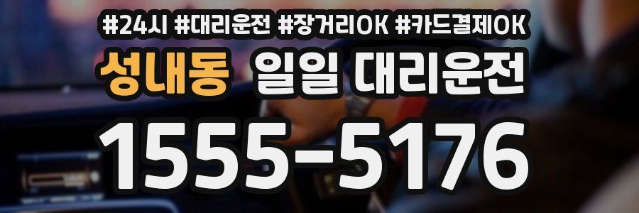 성내동 일일 대리운전