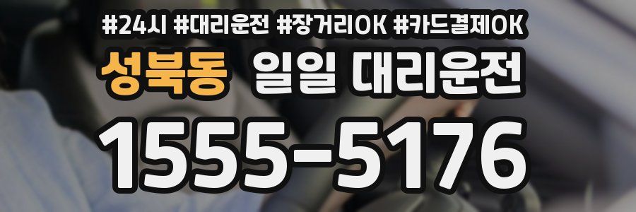 성북동 일일 대리운전