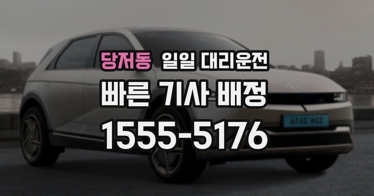 당저동 일일 대리운전