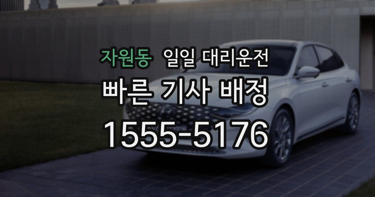 자원동 일일 대리운전