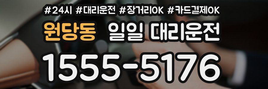 원당동 일일 대리운전