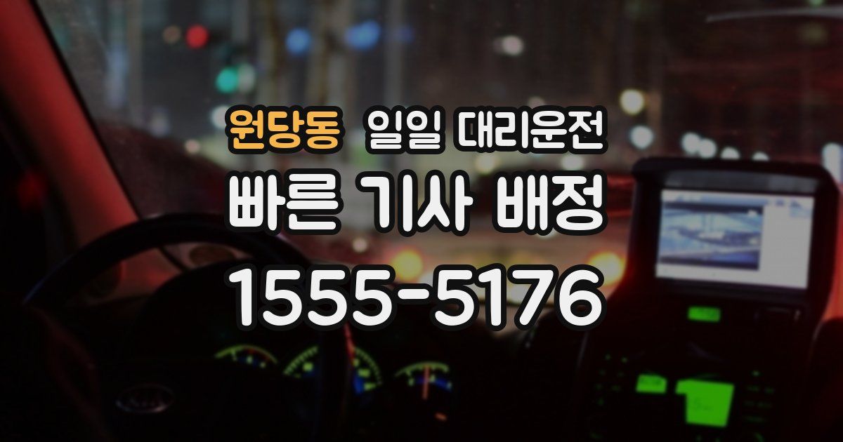 원당동 일일 대리운전