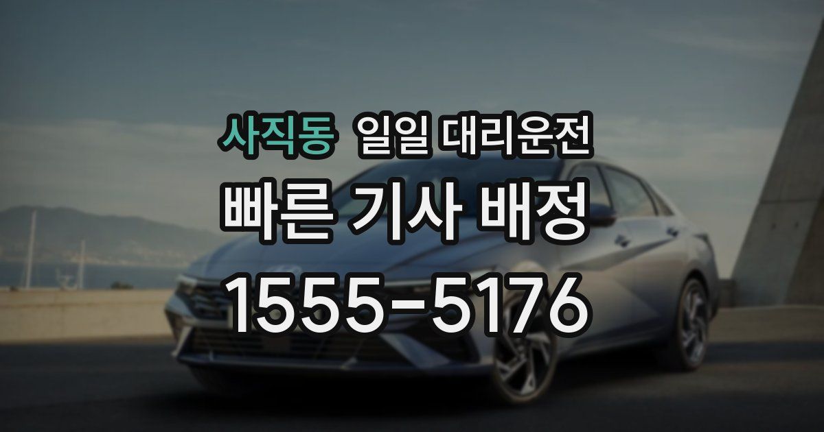 사직동 일일 대리운전