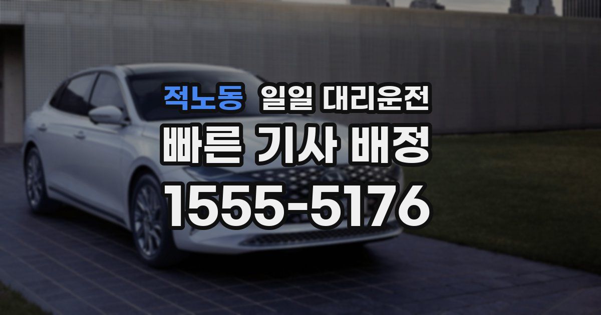 적노동 일일 대리운전