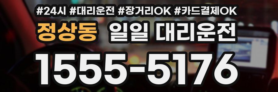 정상동 일일 대리운전