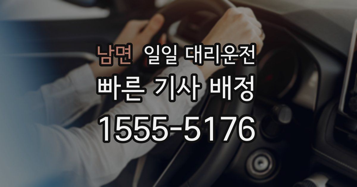 남면 일일 대리운전