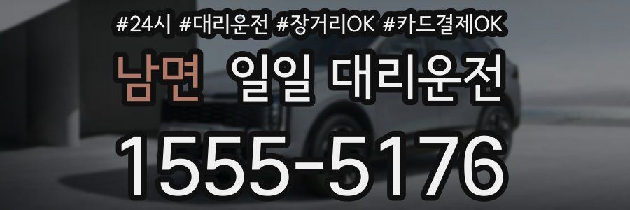 남면 일일 대리운전