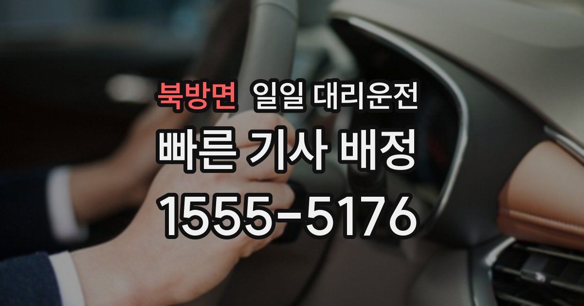 북방면 일일 대리운전
