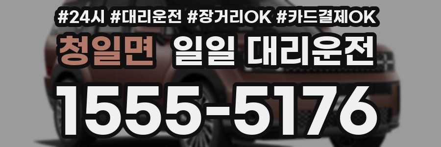청일면 일일 대리운전