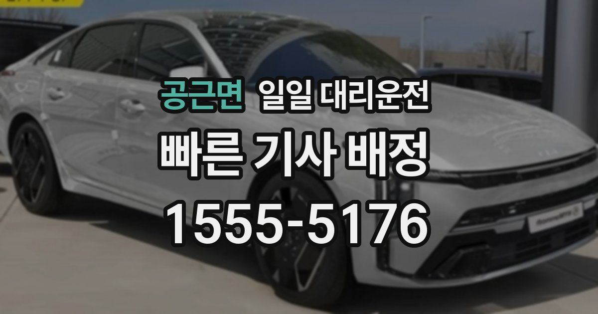 공근면 일일 대리운전