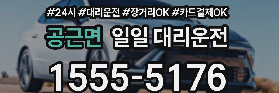 공근면 일일 대리운전
