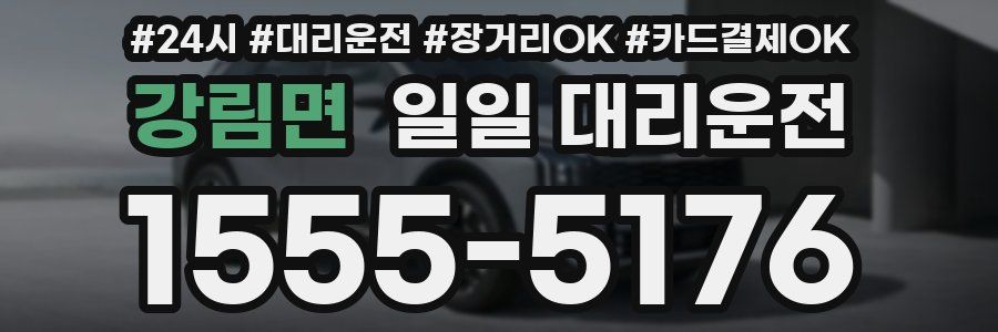 강림면 일일 대리운전