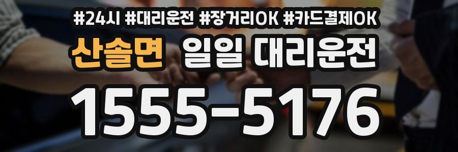 산솔면 일일 대리운전
