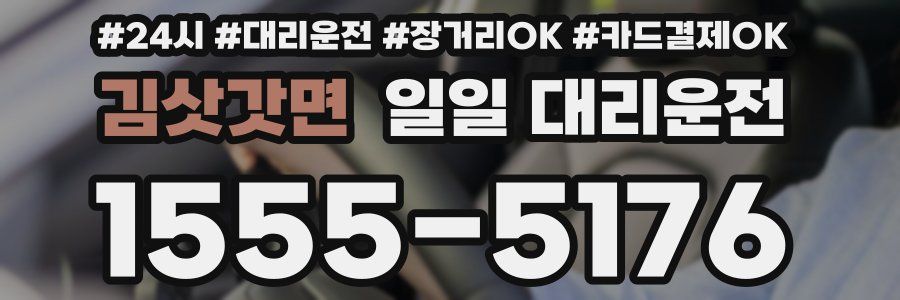 김삿갓면 일일 대리운전
