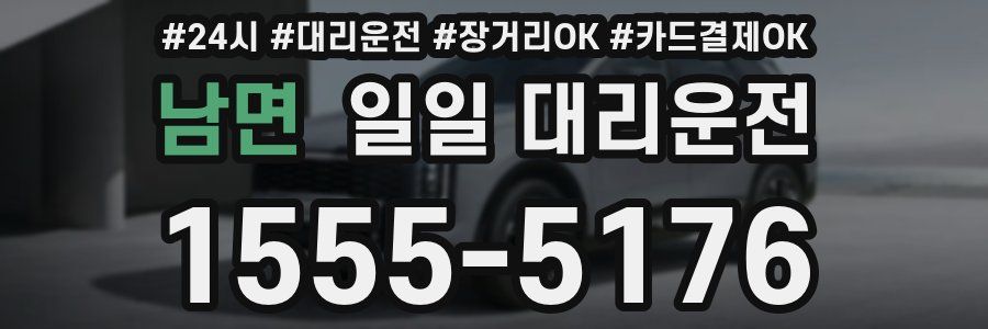 남면 일일 대리운전