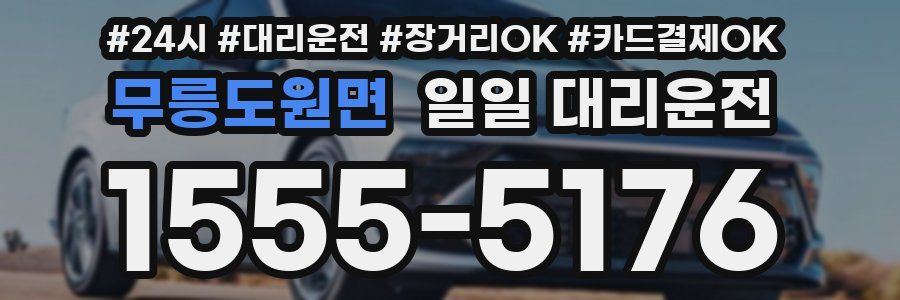 무릉도원면 일일 대리운전