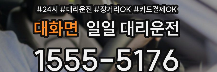 대화면 일일 대리운전