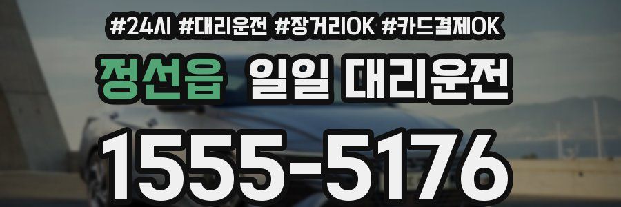 정선읍 일일 대리운전