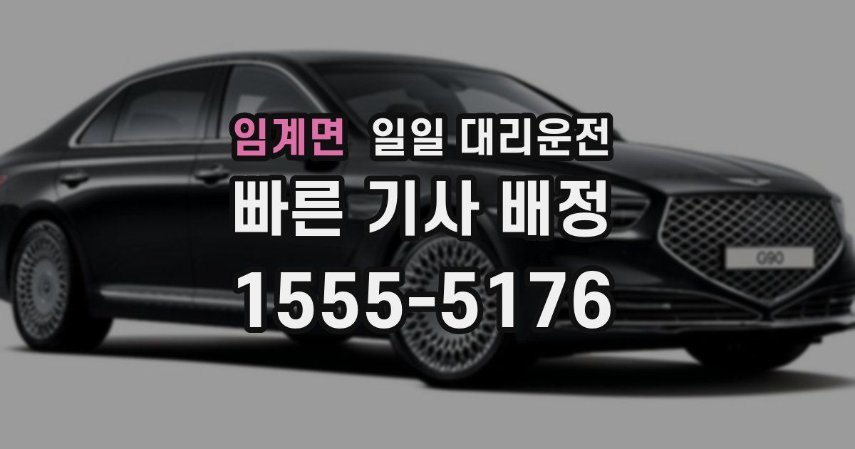 임계면 일일 대리운전