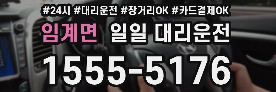 임계면 일일 대리운전
