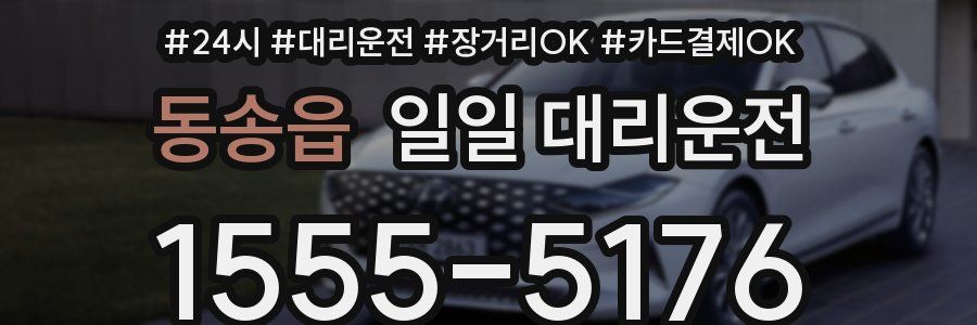동송읍 일일 대리운전