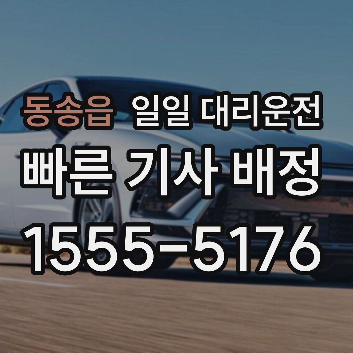 동송읍 일일 대리운전