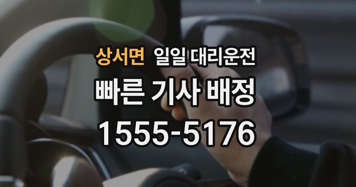 상서면 일일 대리운전