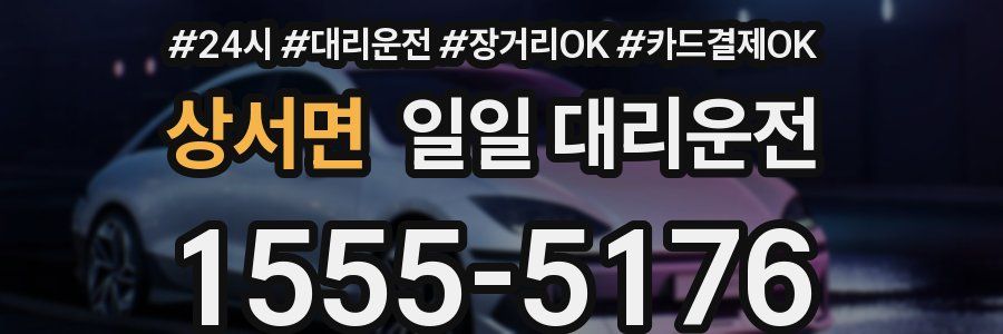 상서면 일일 대리운전