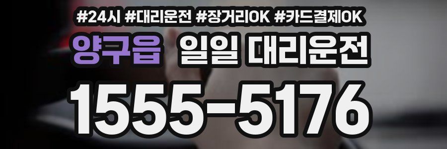양구읍 일일 대리운전