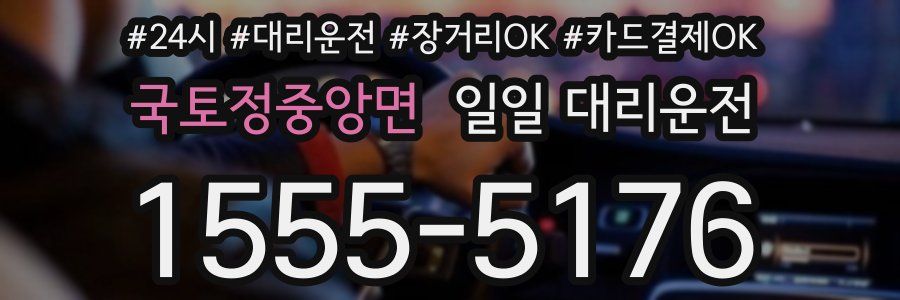국토정중앙면 일일 대리운전