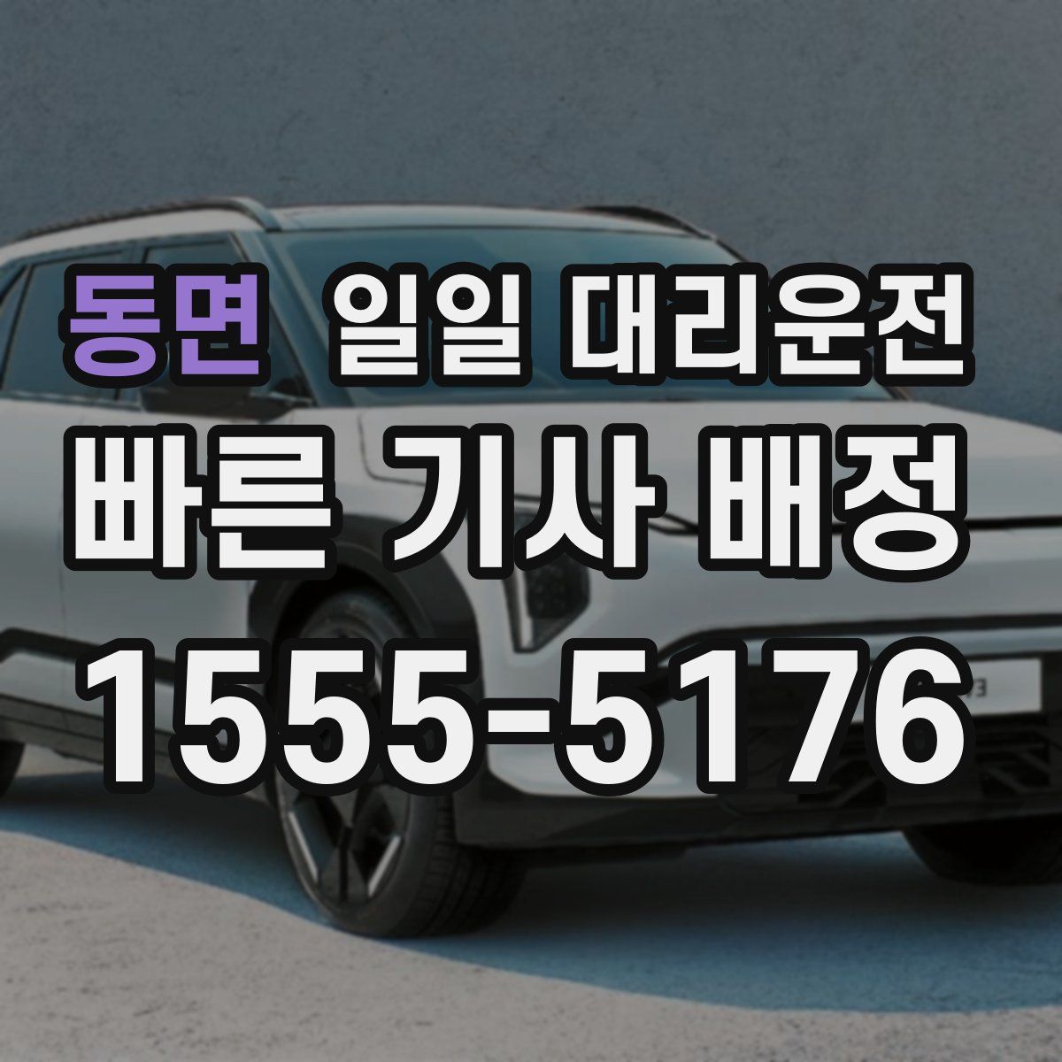 동면 일일 대리운전