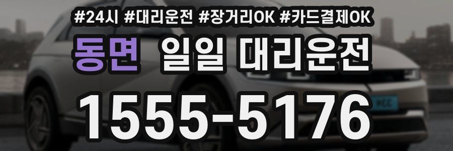 동면 일일 대리운전