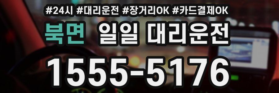 북면 일일 대리운전