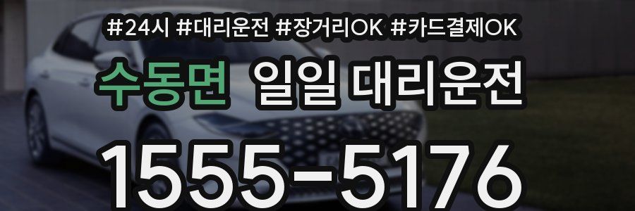 수동면 일일 대리운전