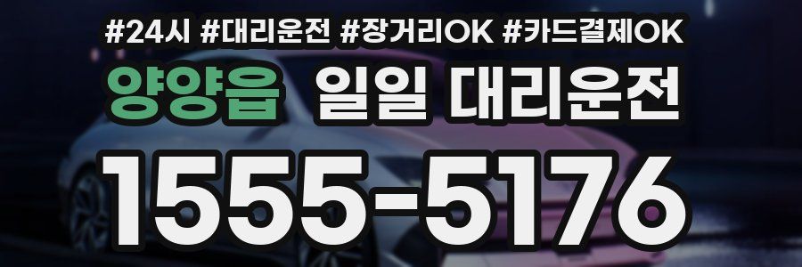 양양읍 일일 대리운전