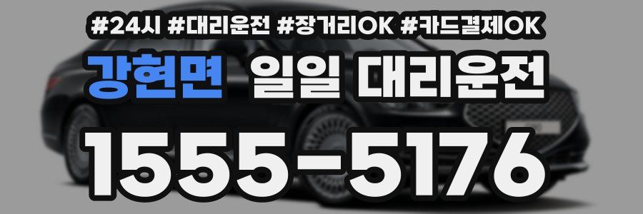 강현면 일일 대리운전