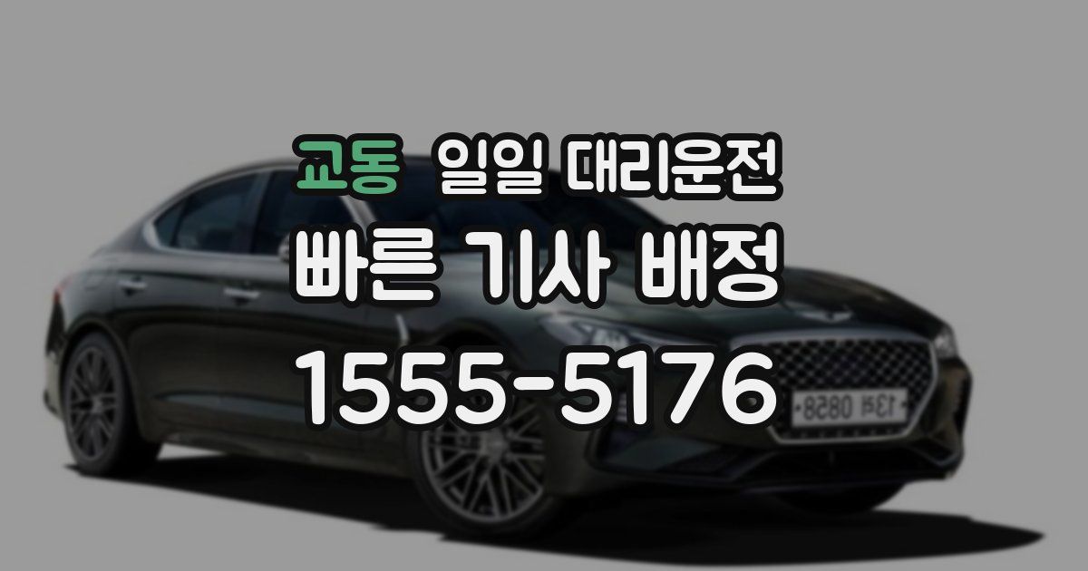 교동 일일 대리운전