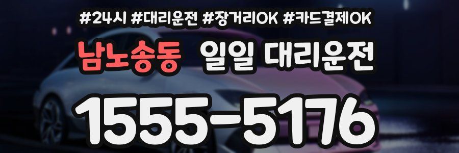 남노송동 일일 대리운전