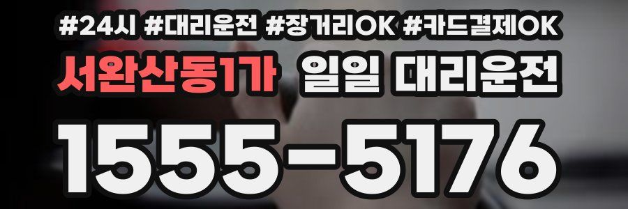 서완산동1가 일일 대리운전
