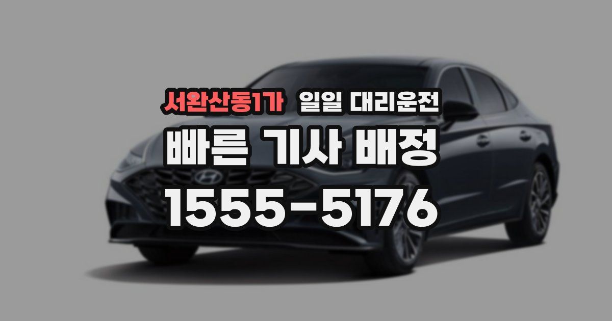 서완산동1가 일일 대리운전