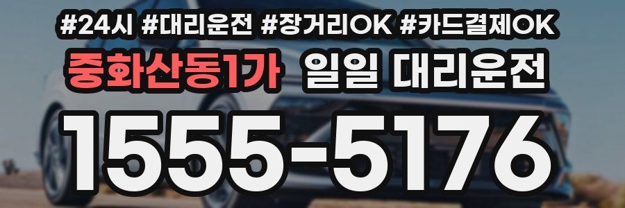 중화산동1가 일일 대리운전