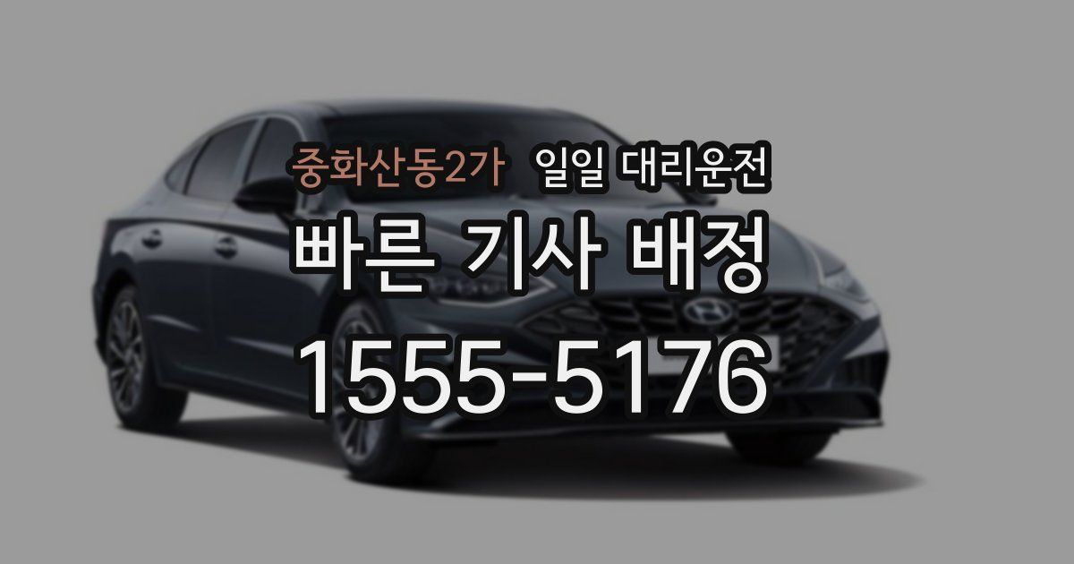 중화산동2가 일일 대리운전